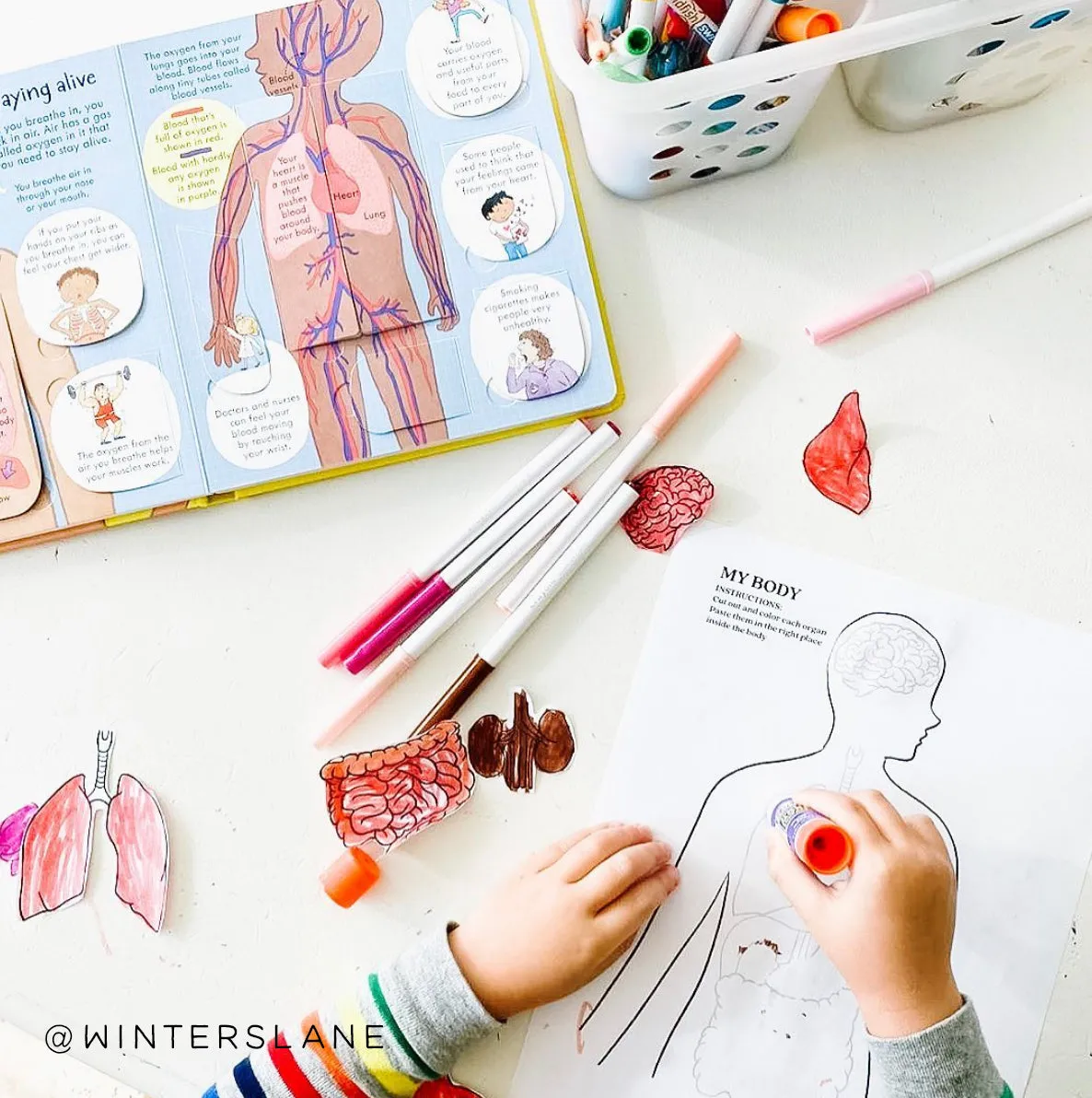 52 Crafts and Activities