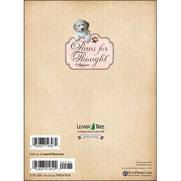 Any Occasion Card: a little sunshine