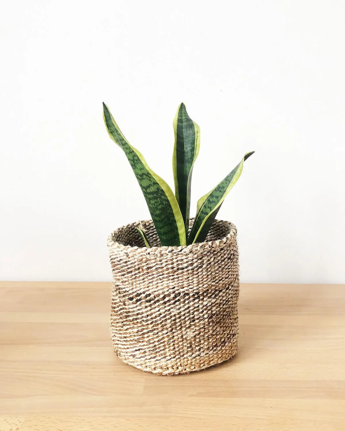 Banana Leaf Small Basket