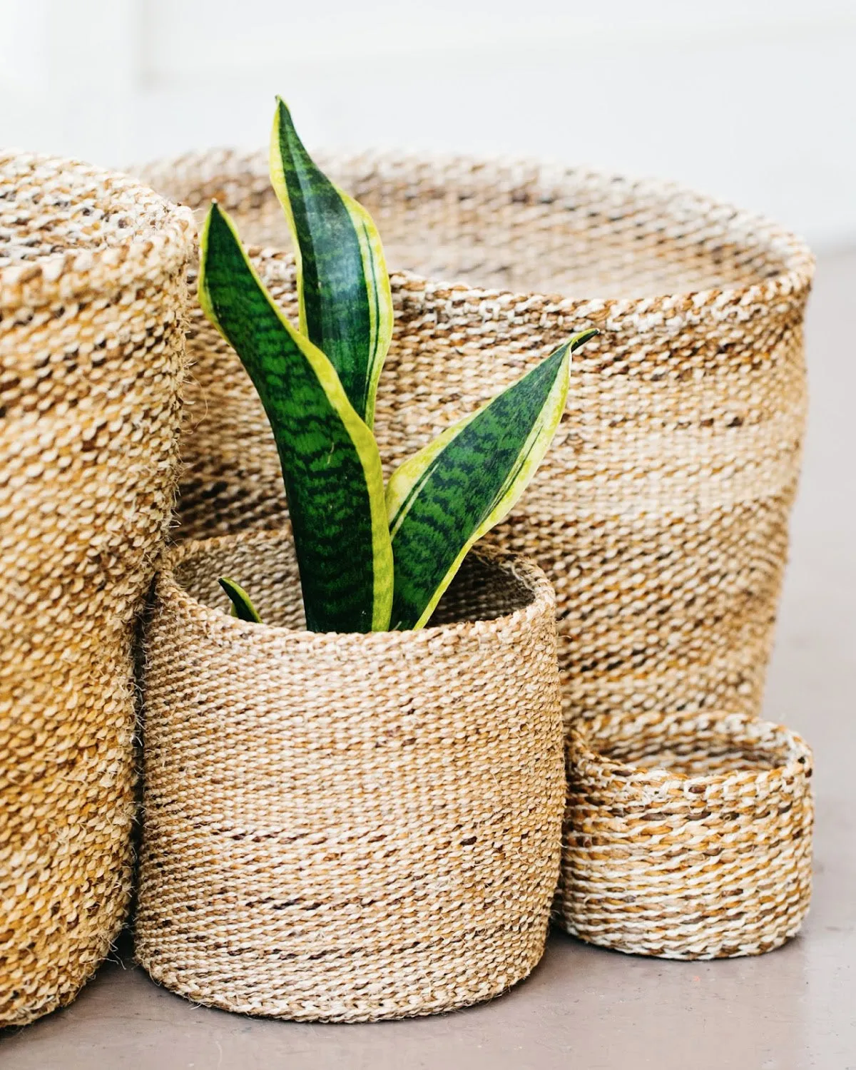 Banana Leaf Small Basket