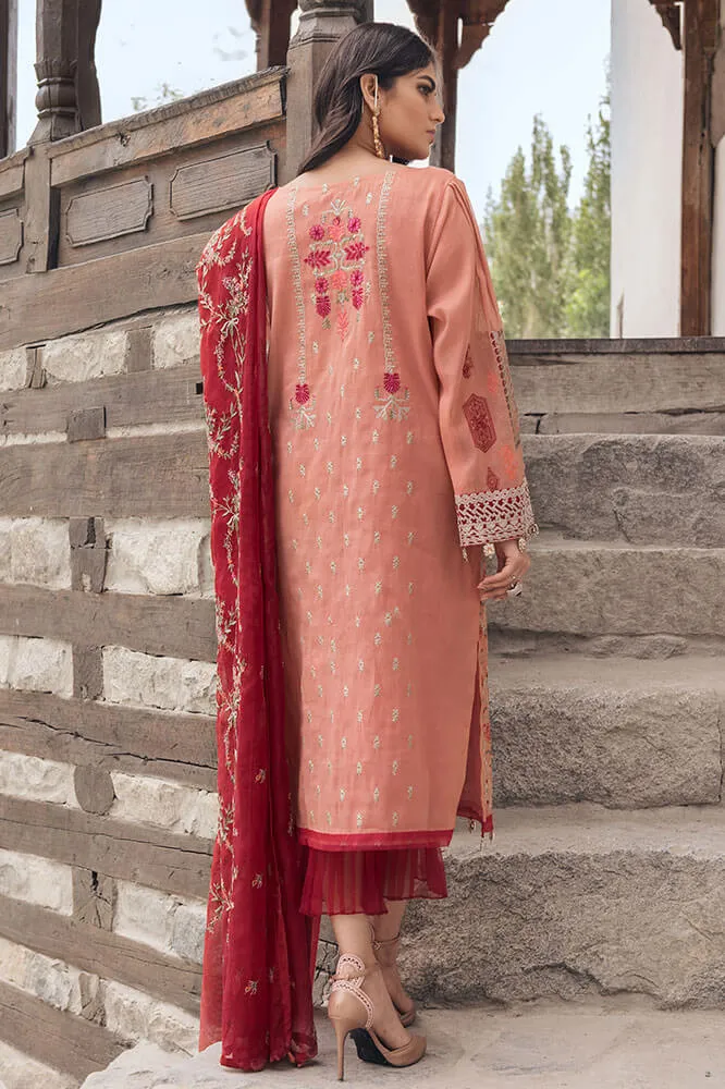 Beautiful Pakistani cotton outfit in pink and red color # P2369