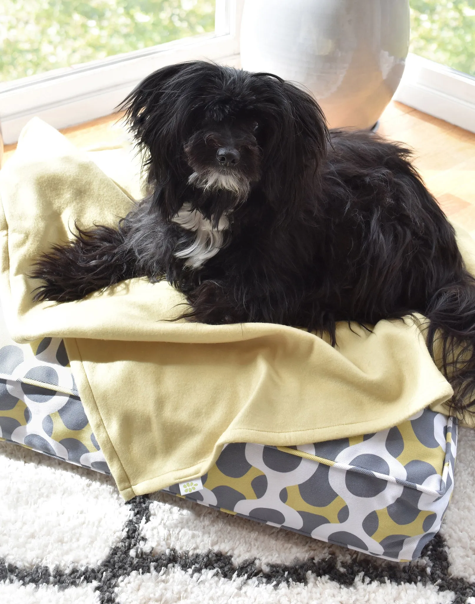 Biggs Cotton Twill Dog Bed (3 Sizes) – Moss