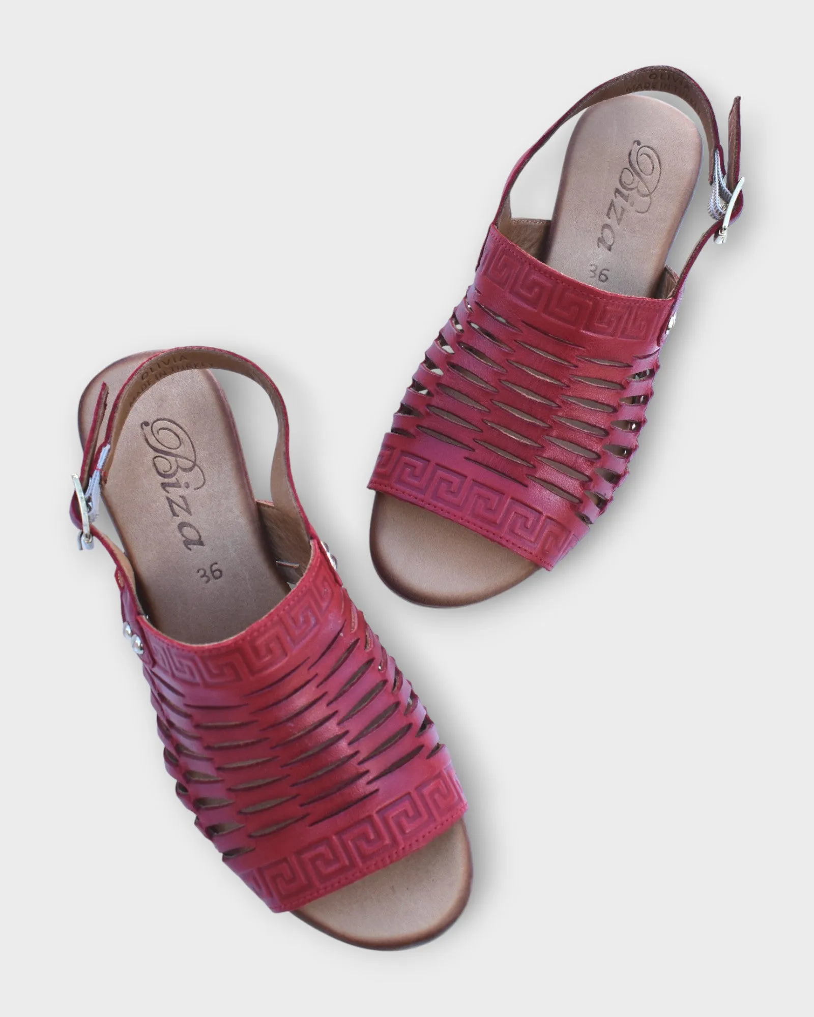 Biza Olivia
