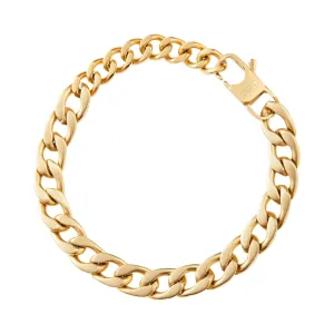 BREIK CHAIN ​​BLOCK CHAIN ​​CHAIN ​​STEEL IP GOLD TJ3257 Finish