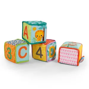 Bright Starts Grab & Stack Blocks