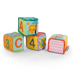 Bright Starts Grab & Stack Blocks