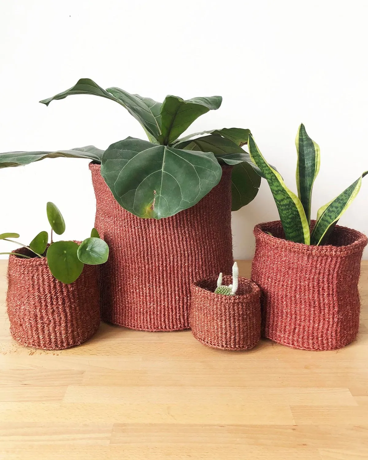 Canyon Mini Basket
