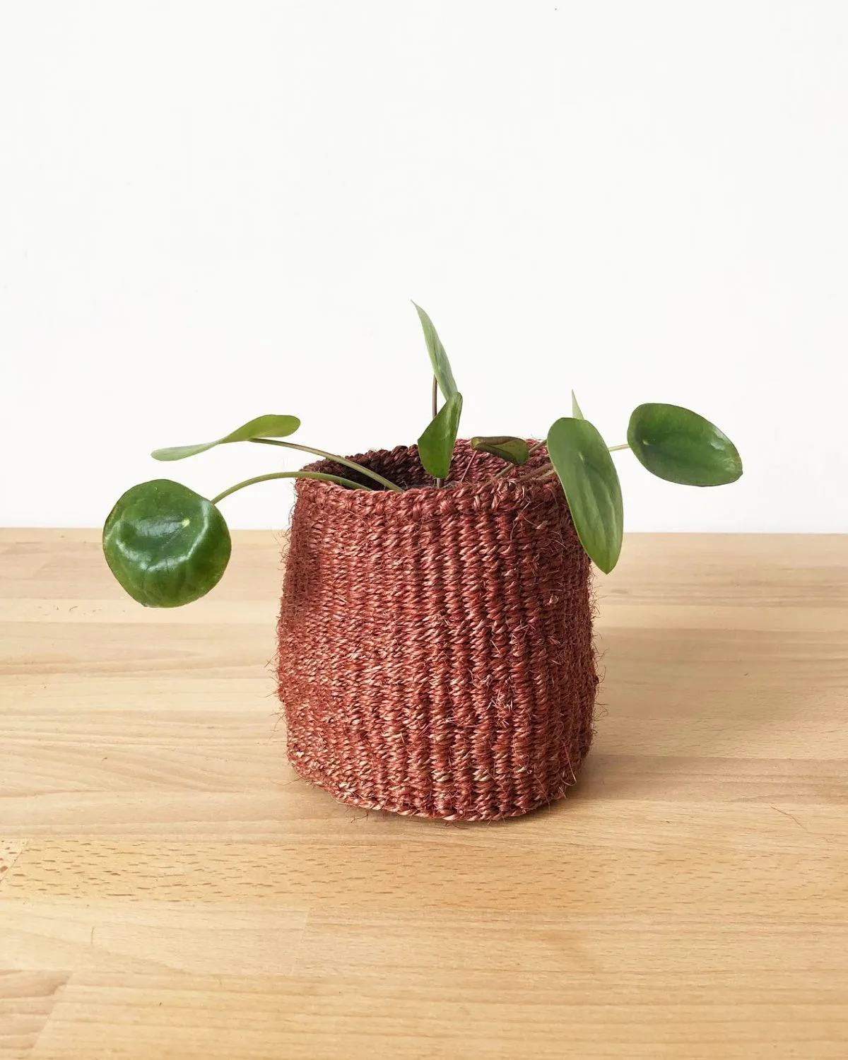 Canyon Mini Basket