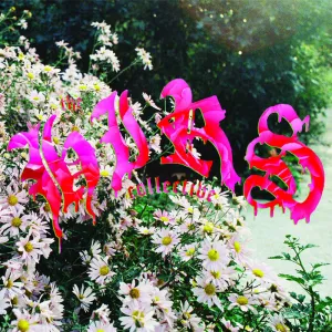 HIRS Collective, The ‎– Friends Lovers Favorites [CLEAR VINYL]- New LP