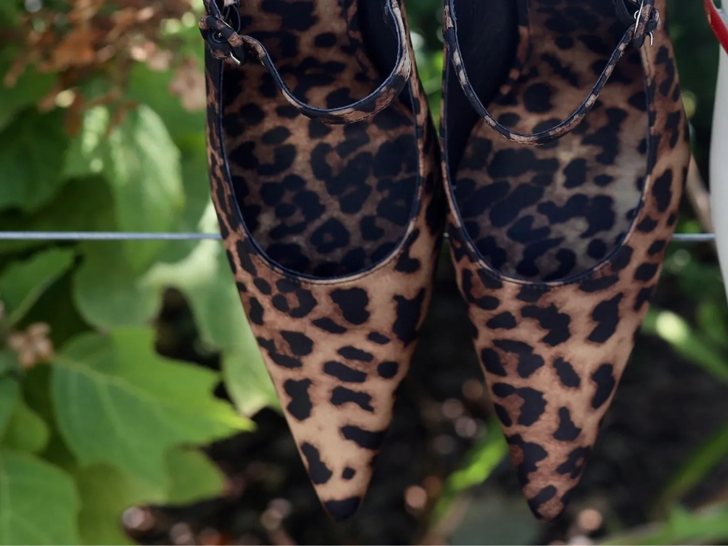 Jeffrey Campbell: Tiyera in Cheetah Satin