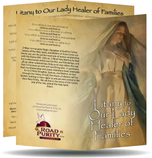 Litany to Our Lady Healer of Families Holy Card Size: 3" X 6"