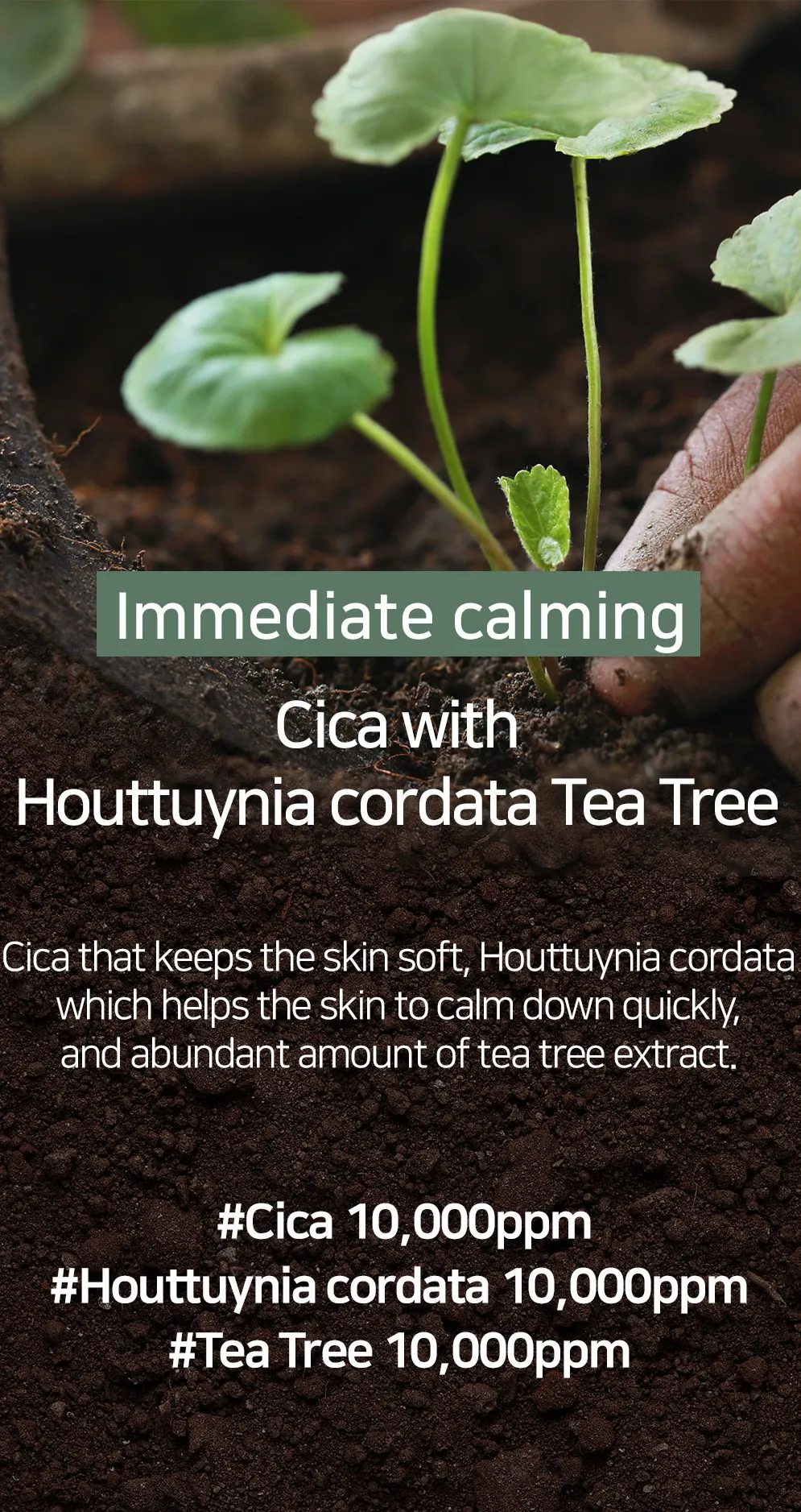 < New arrival > MARY & MAY CICA Houttuynia Tea Tree Calming Mask Pack - Box of 30 sheet masks