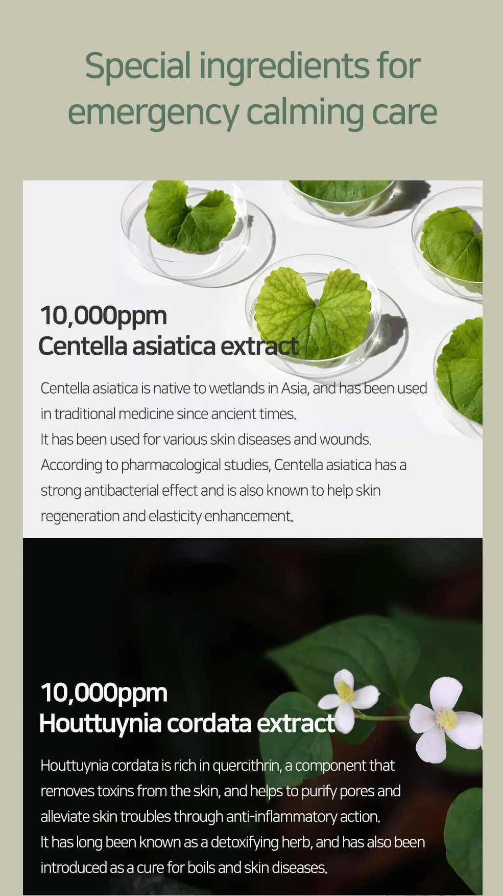 < New arrival > MARY & MAY CICA Houttuynia Tea Tree Calming Mask Pack - Box of 30 sheet masks