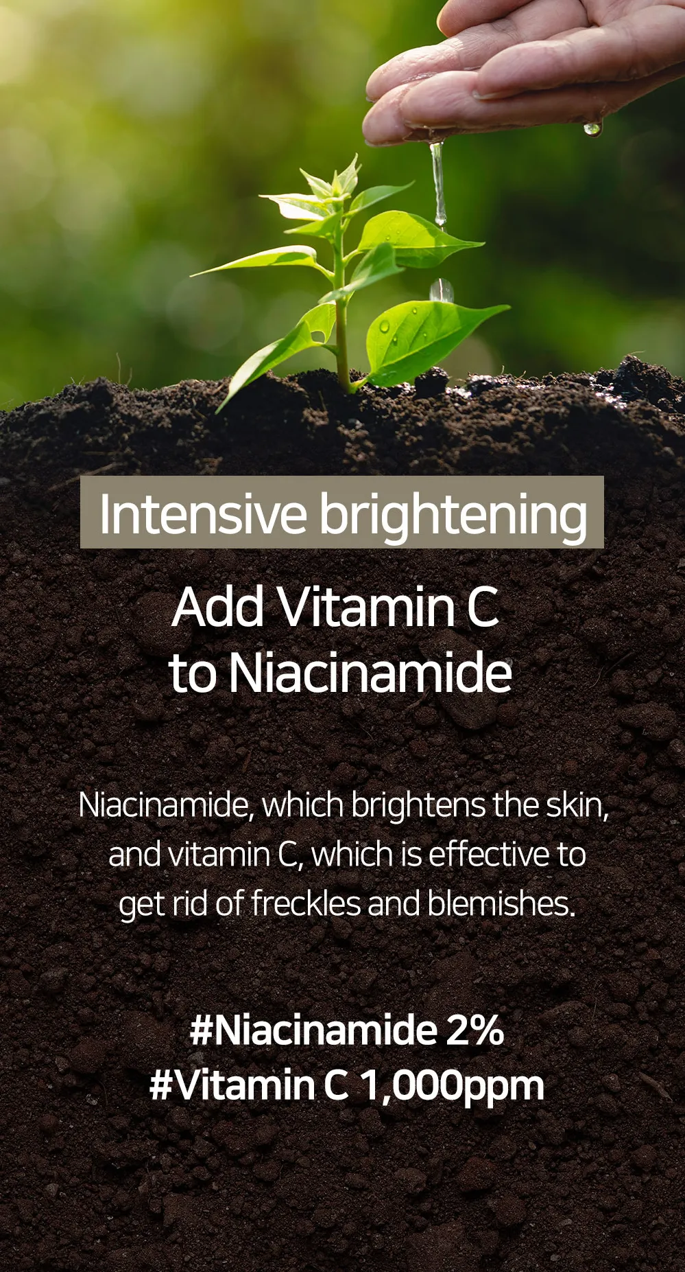 < New arrival > MARY & MAY Niacinamide Vitamin C Brightening Mask Pack - Box of 30 sheet masks