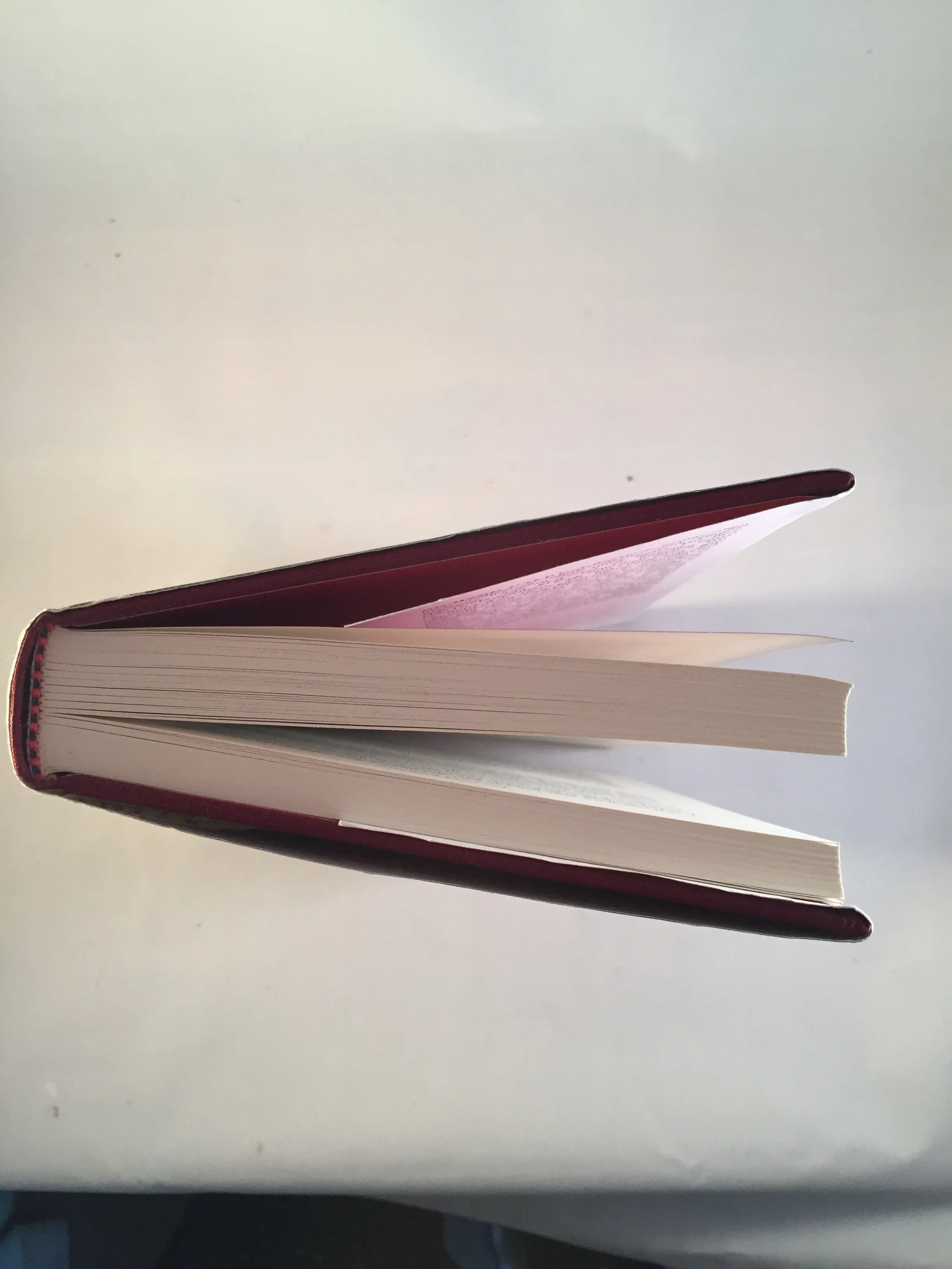 Mary Elizabeth Braddon - The Cold Embrace, Ash-Tree Press 2000