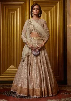 Metallic gold lehenga set