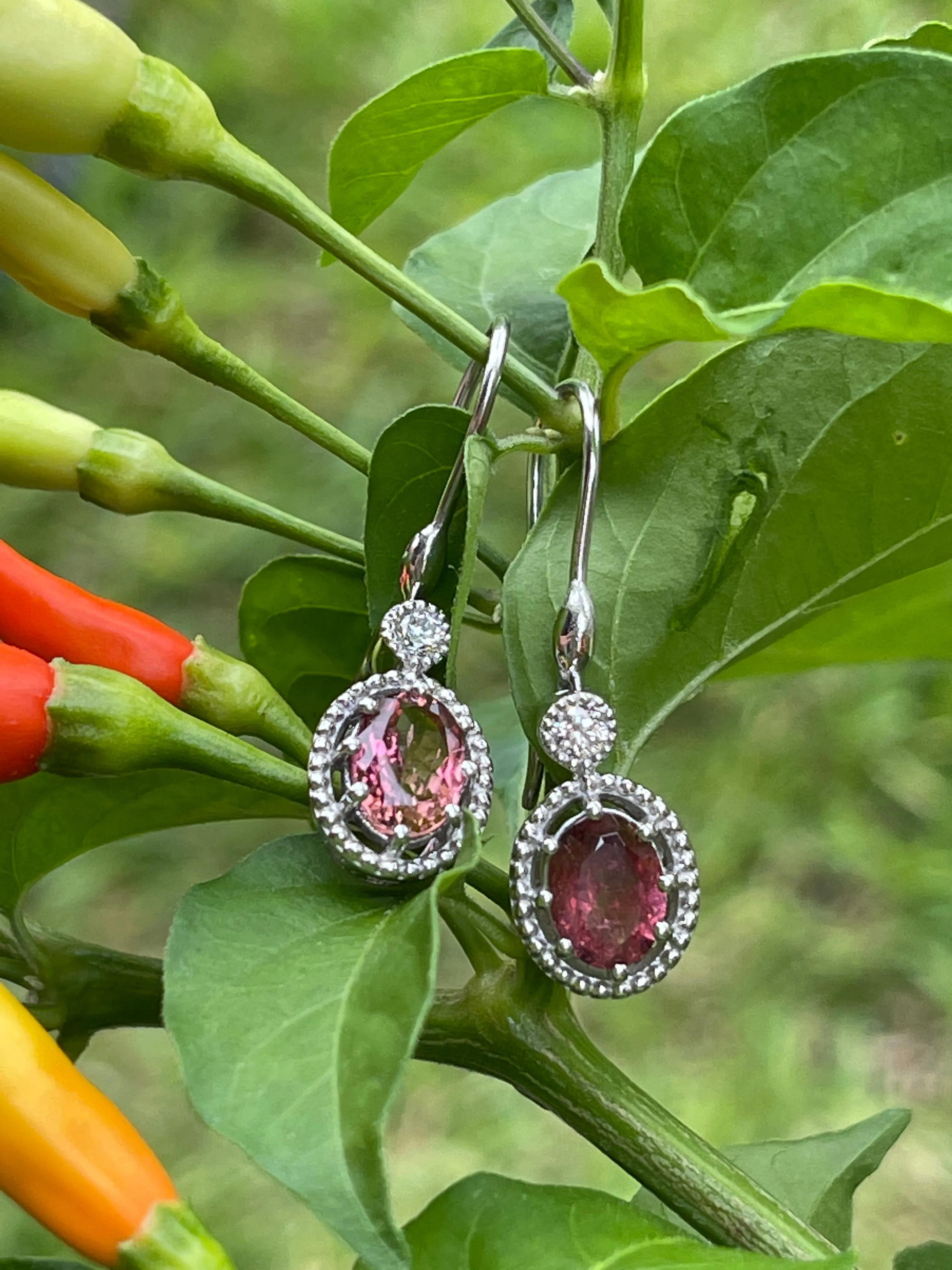 Natural 4ct Pink Tourmaline 925 Solid Sterling Silver Earrings 30mm