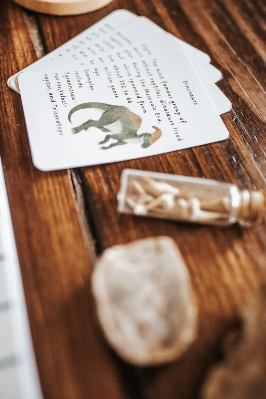 PRINT Paleontology Primary Level Unit Study