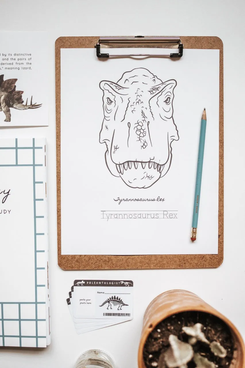 PRINT Paleontology Primary Level Unit Study