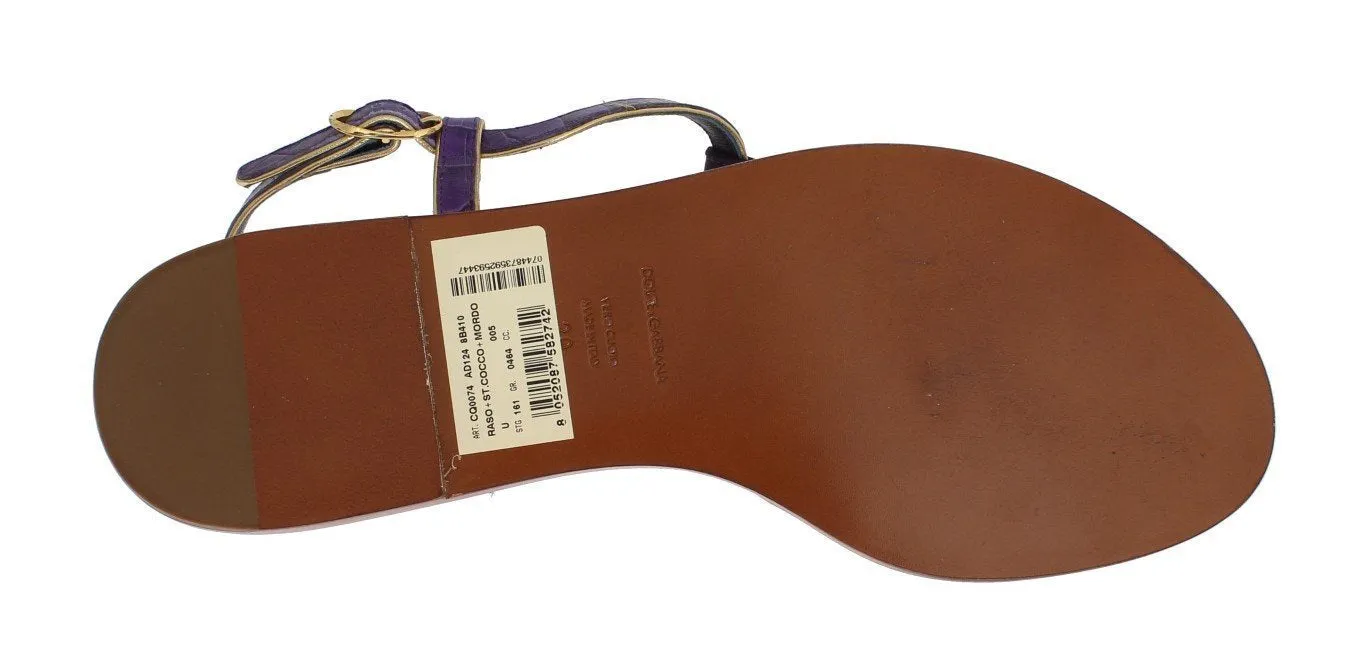 Purple Crocodile Crystal Sandals