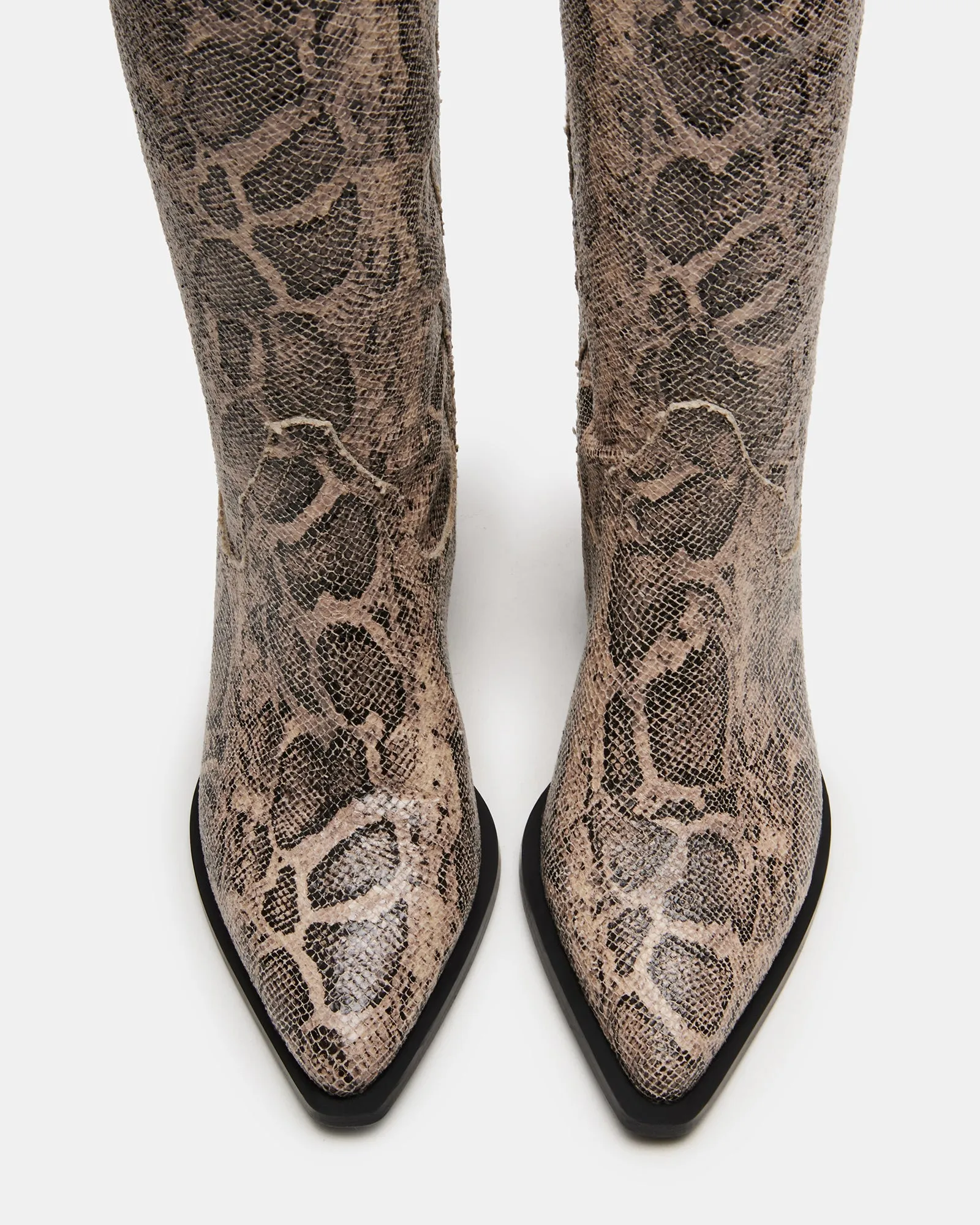 RATTLE SNAKE