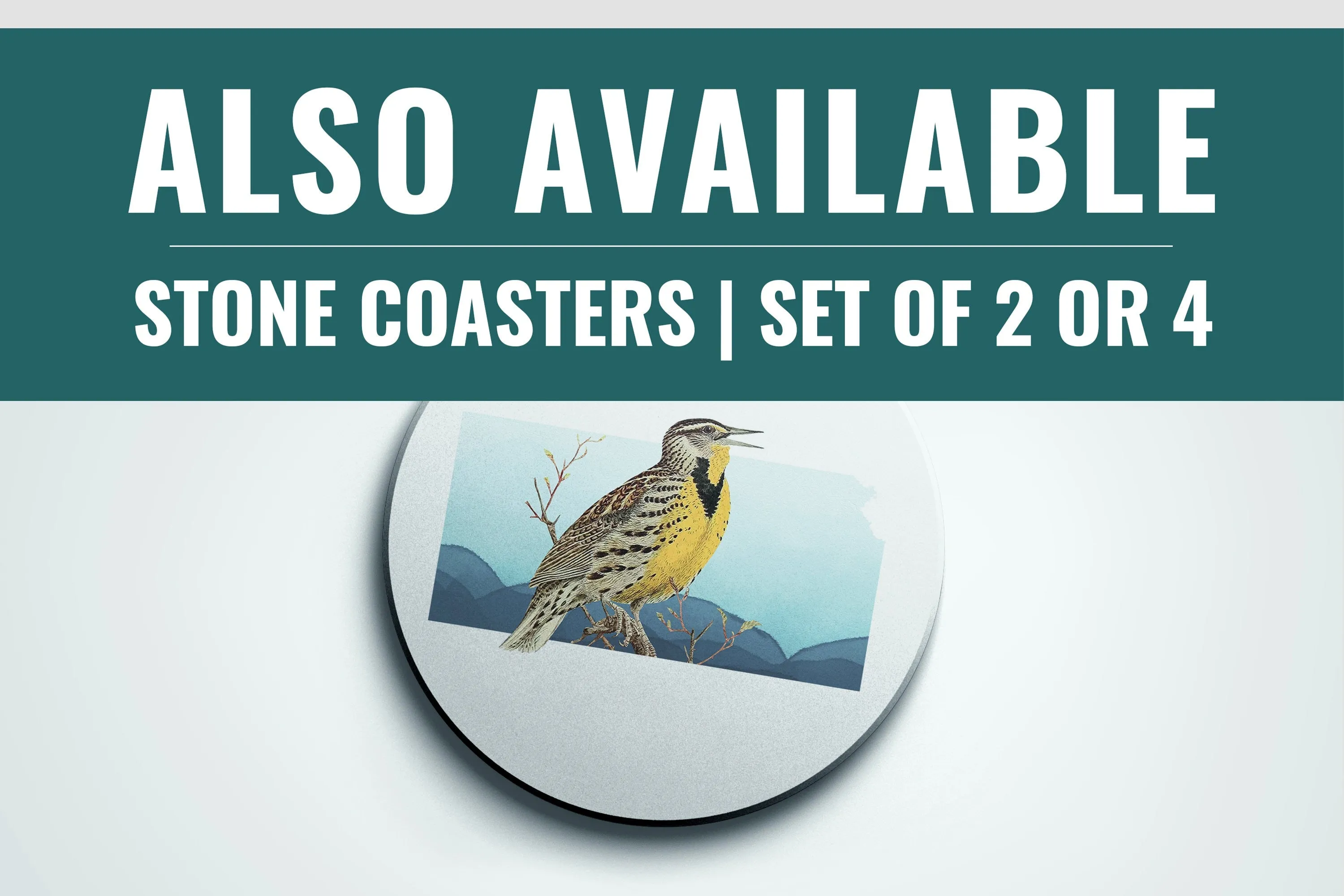 Robin Bird Gifts | Wisconsin State Print, Milwaukee & Madison Decor, Unique Bird Art, Beautiful State Birds Poster