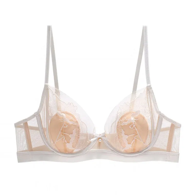 Sheer Embroidered Mesh Bra and Panty Set
