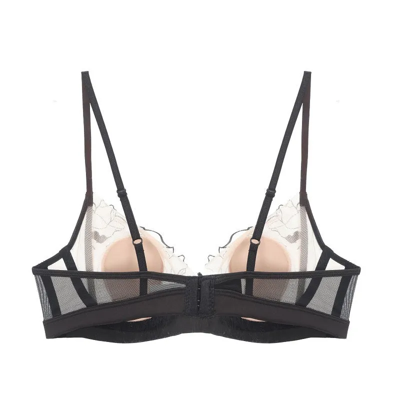 Sheer Embroidered Mesh Bra and Panty Set
