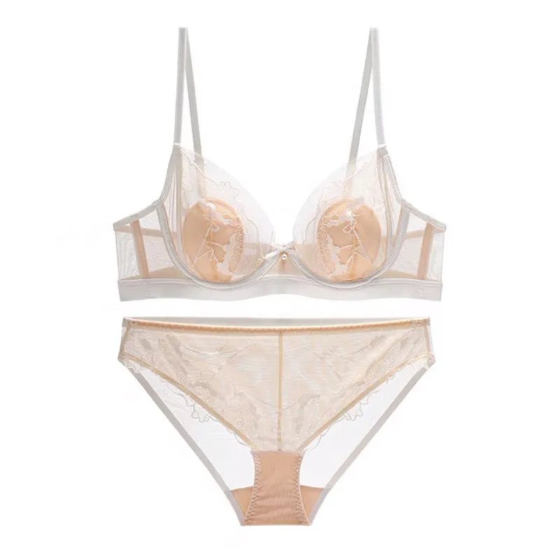 Sheer Embroidered Mesh Bra and Panty Set