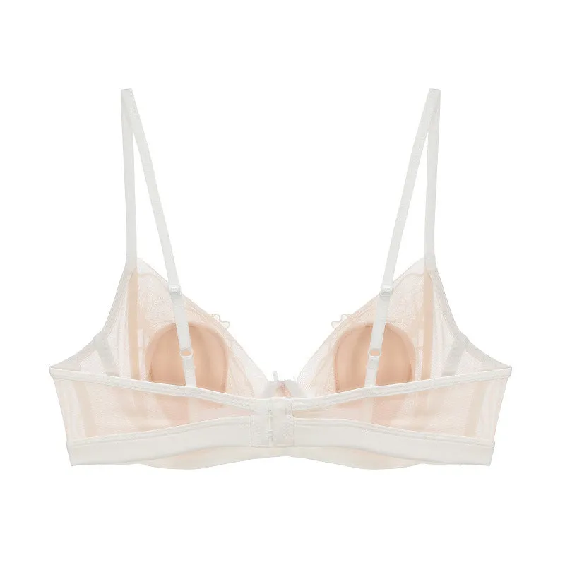Sheer Embroidered Mesh Bra and Panty Set