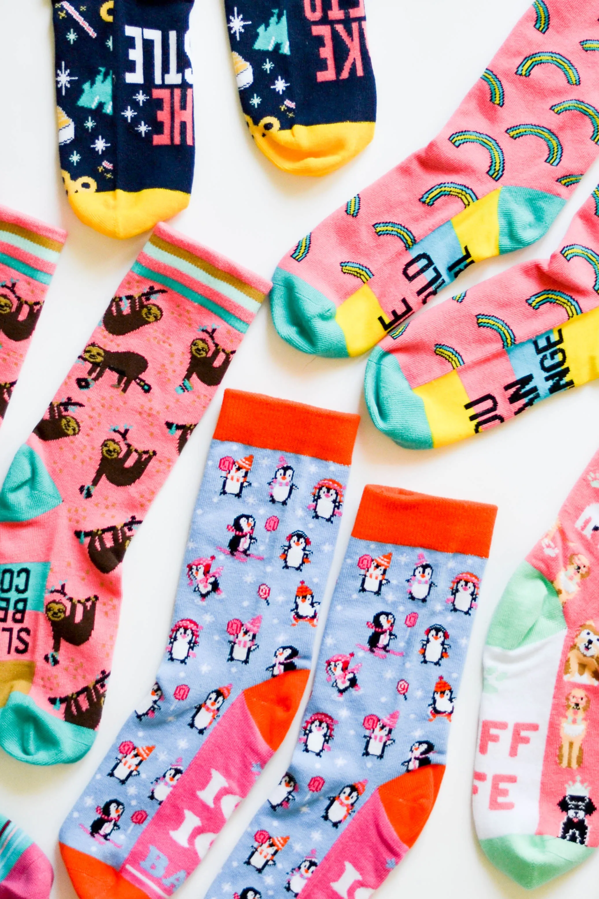 Socks - The Person Your Dog Thinks You Are (Pink) - Pack of 5