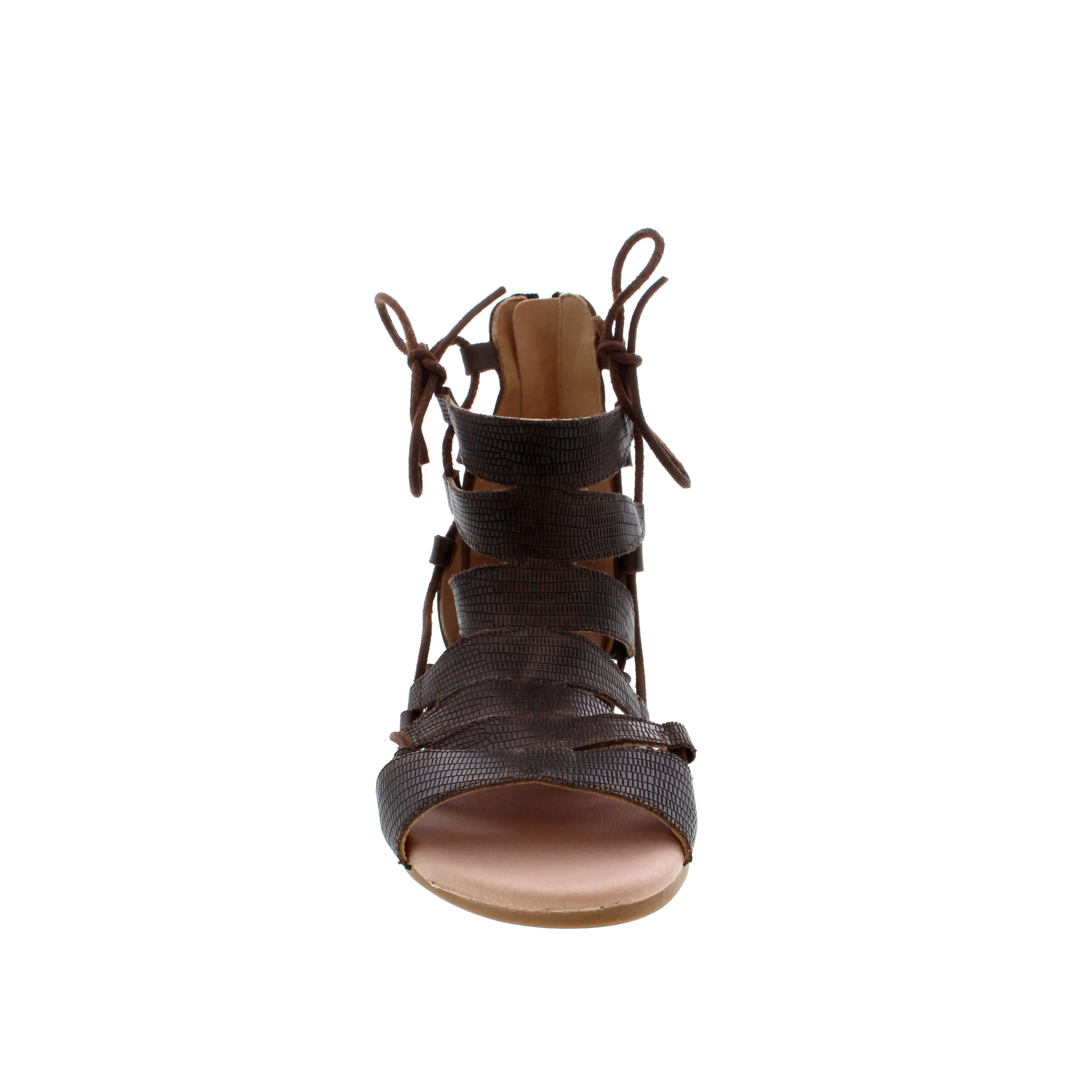 Sodi Shoes Collections - Brown