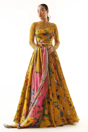 SOHA