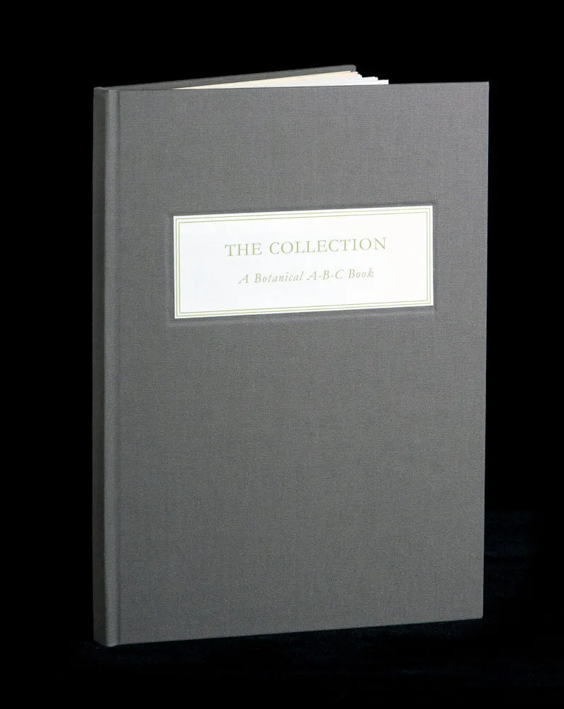 The Collection by Mary Beth Boone