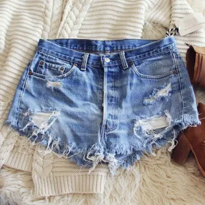 Vintage Tattered & Distressed Shorts