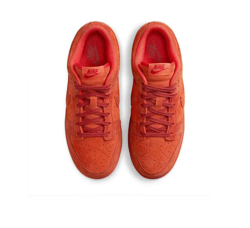 Women's Nike Dunk Low SE